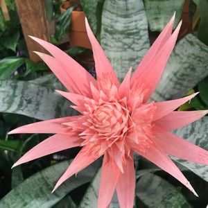 Meet your Posher, Janine